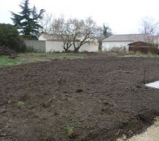 Arrière du terrain