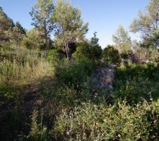 Le terrain avant....