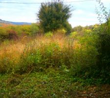 Terrain en friche...