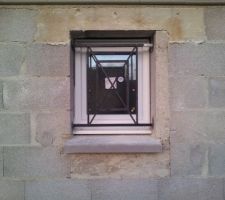 Fenêtre Défense de la Salle de Bain