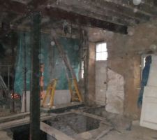 Suppression des murs porteurs du RDC