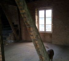 Démolition des murs en torchi plâtre