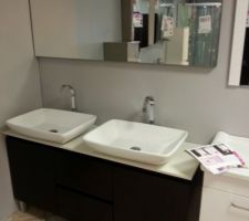 Meuble de salle bain Vial