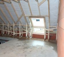 Velux vfe