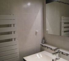 Quelques details..
l'ensemble douche   pièce d'eau rest etroit, mais très pratique au rez de chausée.