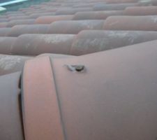 Un clou et du SICA qui disparait, des tuiles qui s'envollent!