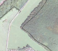 Vue générale aerienne du terrain avec les limites cadastrales du site