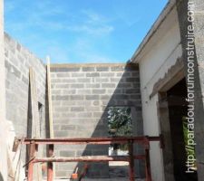 Extension