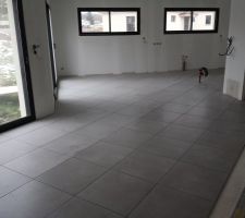 Carrelage pièce à vivre
