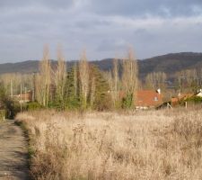 Terrain vu d'en haut nous construisons 
derriere les peupliers