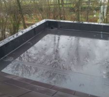 Toit plat epdm