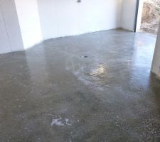 Shampoing acide avant peinture.