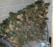 Stock de bois