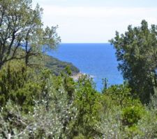 Vue du milieu du terrain vers l'EST