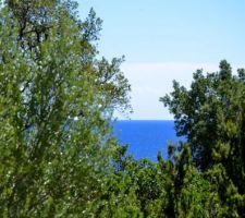 Vue du milieux du terrain vers l'EST