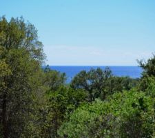 Vue mer à l'EST du haut du terrain il va falloir la dégager au maximum.