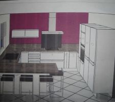 Cuisine signée le 18 janvier! et le mur framboise fera surement parti du décor! ;-)
