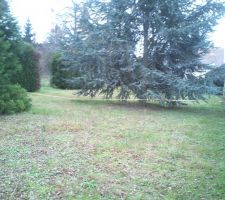 Terrain 500 m carr&eacute; ( 33 * 15)