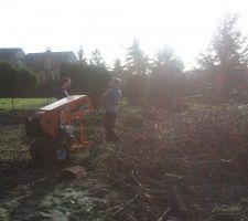 Broyage des branches tuyas et arbres, quel boulot!!