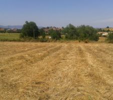 Photo de notre terrain prise en &eacute;t&eacute;