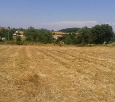 Photo de notre terrain prise en &eacute;t&eacute;