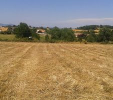 Photo de notre terrain prise en &eacute;t&eacute;