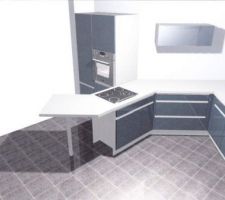 Vue gauche de la cuisine.