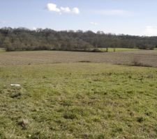 Le terrain vierge (pas pour longtemps)