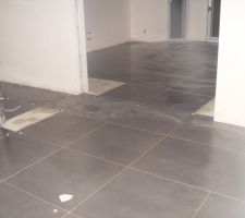 Hall d'entrée  vue salon