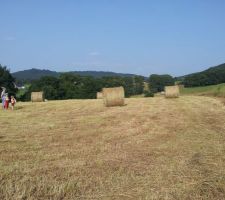 Vue du terrain apr&egrave;s fauchage.