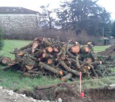Tous ce tas de bois sur NOTRE terrain...