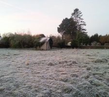 Implantation de la maison