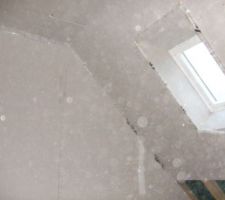 Les velux habillés