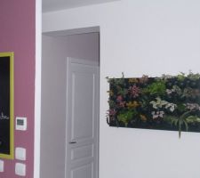 Mur végétal