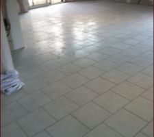 Petite photo prise de la cuisine, bon c'est s&ucirc;r il faut de l'imagination &agrave; ce stade^^