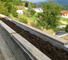 Pratique pour remplir la jardinière...