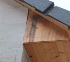 Champignons, or not champignons ? tel est la question.