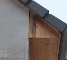 Champignons, or not champignons ? tel est la question.