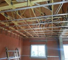 Plafond   gaines electriques
