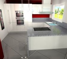 Image 3D du cuisiniste
Reste Ã  dÃ©finir la couleur des murs et du plan de travail
