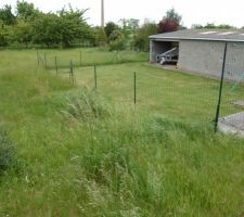 Vu du chemin o&ugrave; l'on voit notre terrain au fond et celui de notre voisin