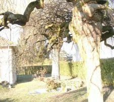 Notre terrain &agrave; Osny