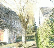 Notre terrain (le futur passage commun avec nos futurs voisins)