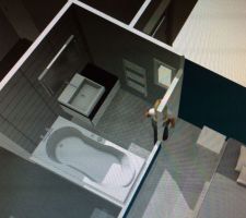 Vue 3D salle de bain parentale