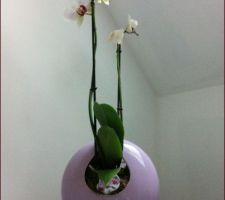 Petite déco dans les mauves pour le coin repos