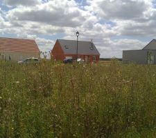 La v&eacute;g&eacute;tation a eu largement le temps de reprendre ces droits ...