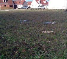 Apr&egrave;s la tornade blanche.