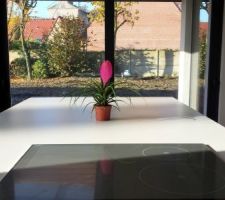 La cuisine sous le soleil
