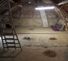 Sol de l'&eacute;tage: bauge. 100m&sup2;