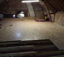 Petit à petit, l\'oiseau fait son nid. vis tout les 25/30cm.
idéalement, un chevron à chaque jointure de plaque osb.
Sinon, un osb de 22 mn aurait été mieux ? je ne sais pas. l'avenir le dira. Car pour que les chevrons tombent toujours au bon endroit, c'est pas gagné.